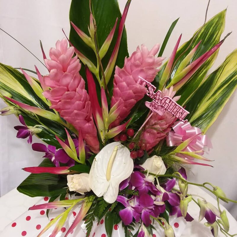Pink tropical