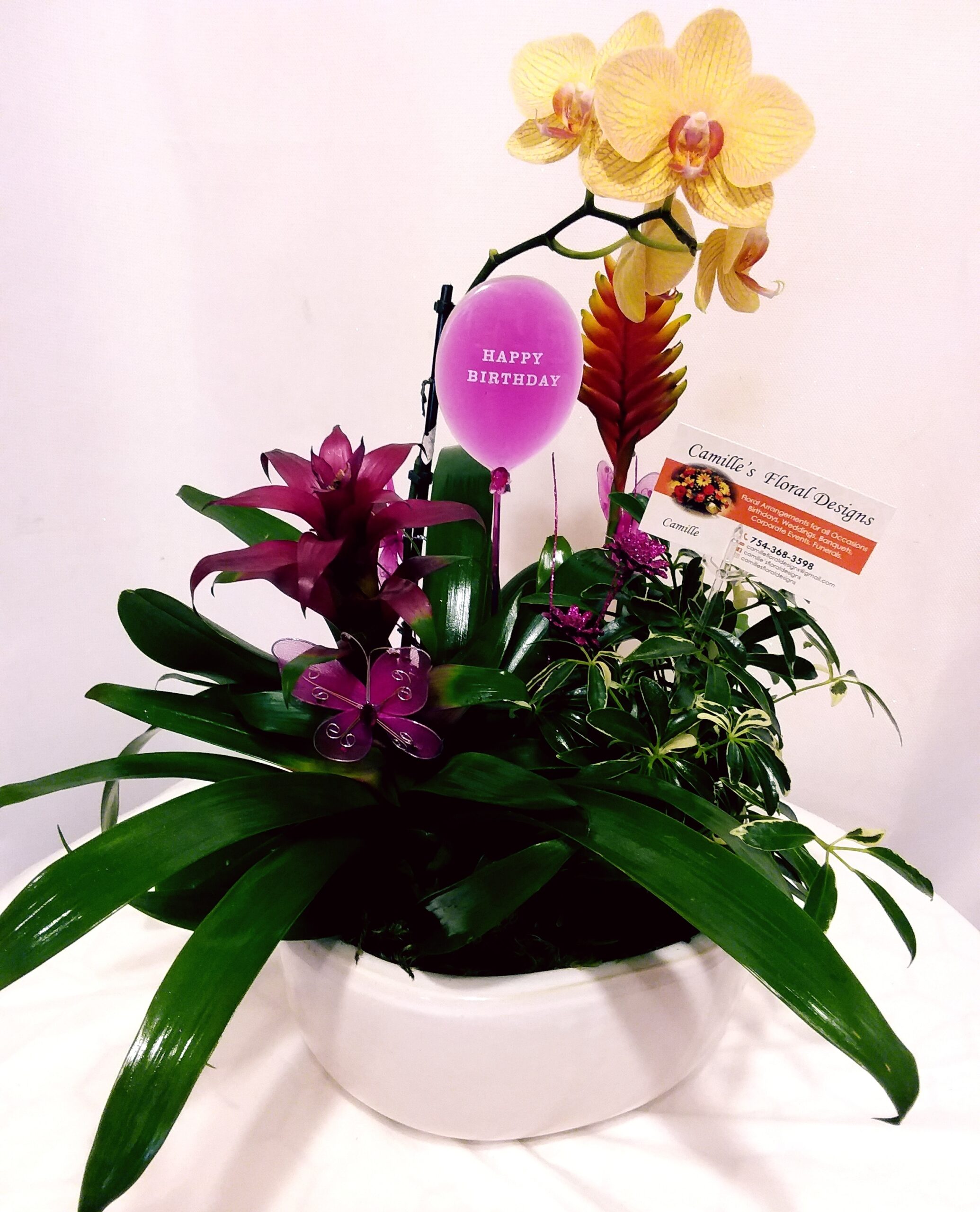 Tropical dish garden This beautiful large dish garden features tropical indoor plants which included variegated greens, yellow phanelopis orchids in a lage clay pot is great for a plant lover.Price includes tax and delivery fees. We deliver to Miami-Dade and broward counties.