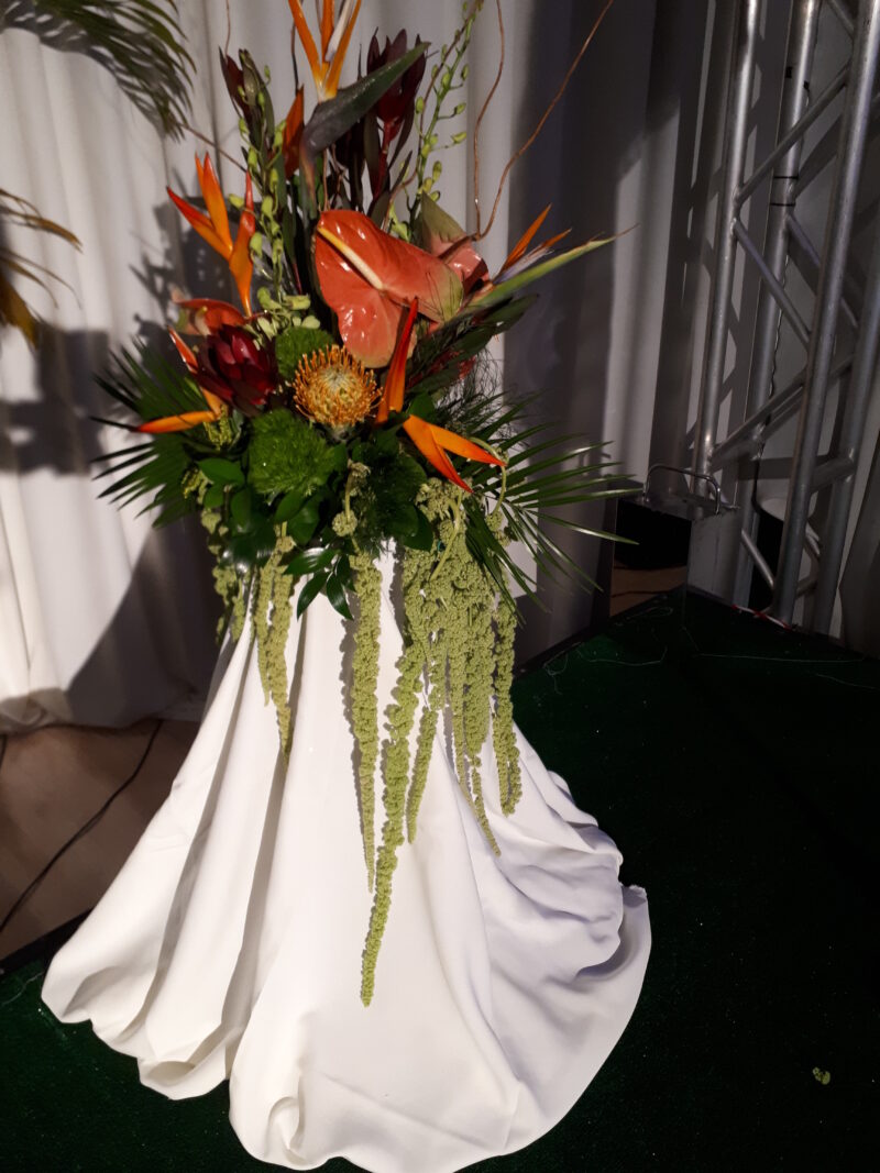 Tropical event