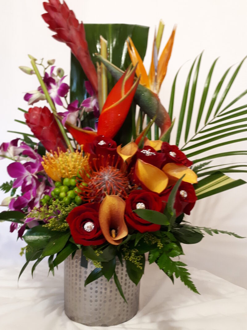 Tropical garden