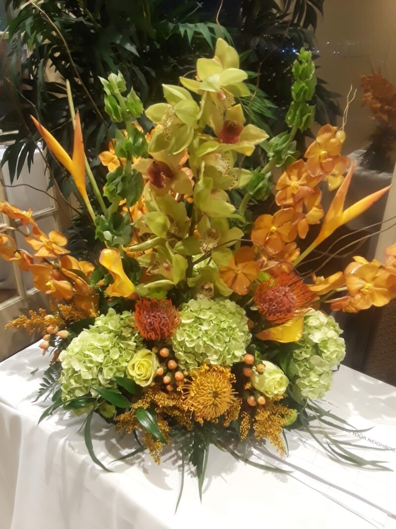 Tropical Orchids