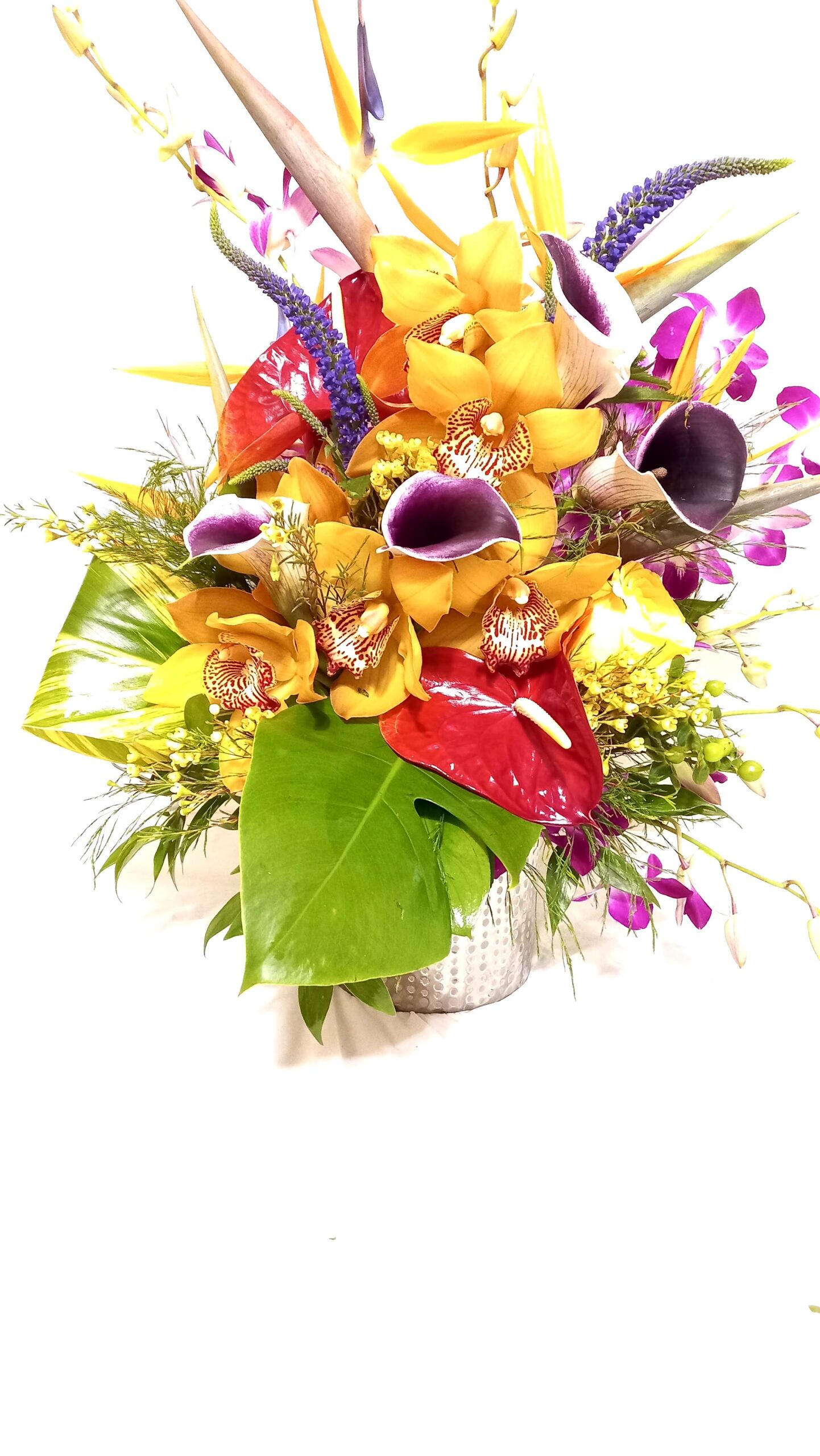 Tropical passion