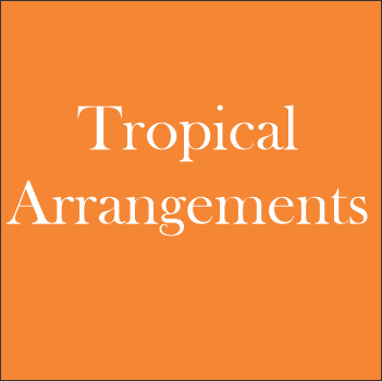 Tropical Arrangements